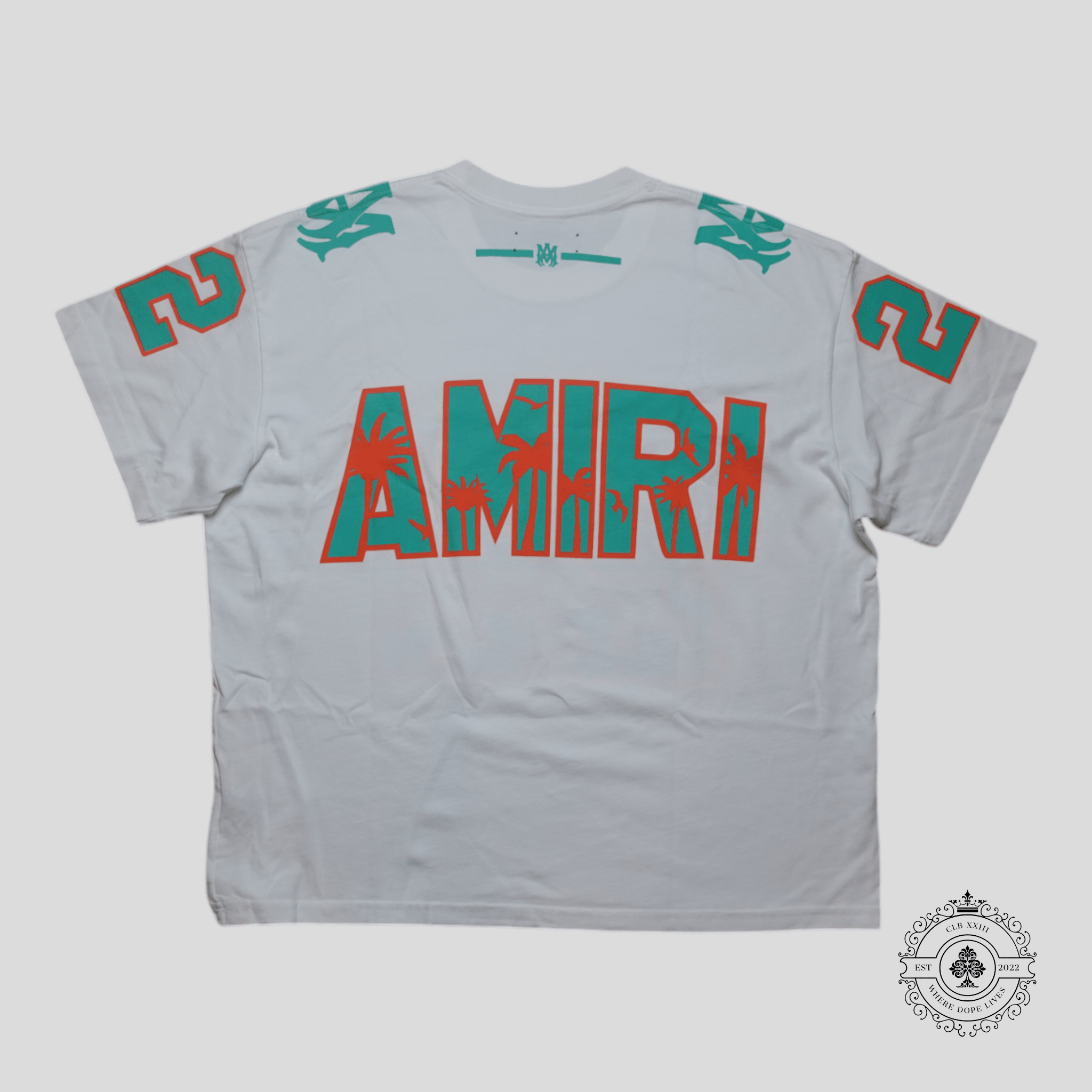 Amiri Palm Tree 22 Oversized Football T-Shirt in White/Mint Green/Orange