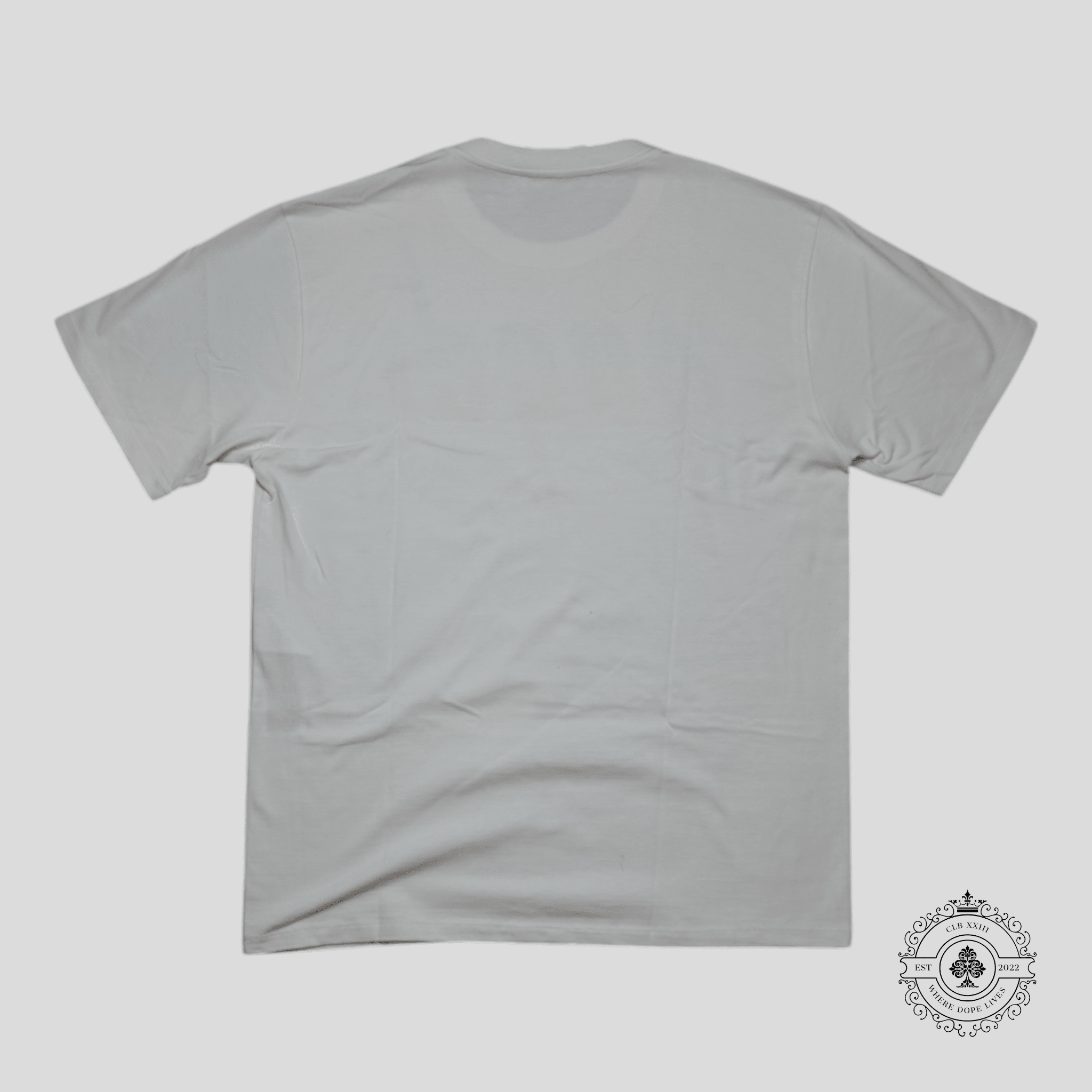 Gucci Blade Print T-Shirt in White/Green/Red